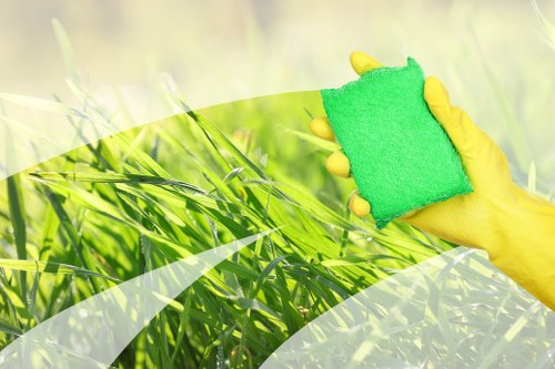 Cleaning supplies used for upholstery care and stain removal