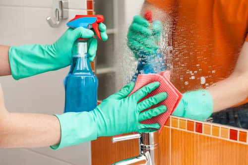 Professional pet stain odour removal in a Kentish Town living room