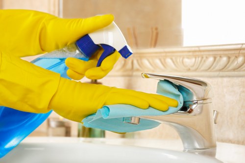 Stain removal supplies arranged for quick home cleaning