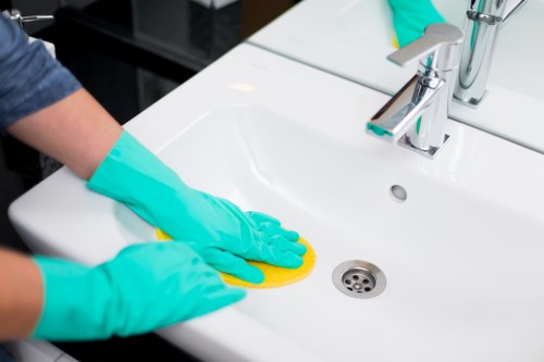 Enzyme treatment for pet odour removal on upholstery