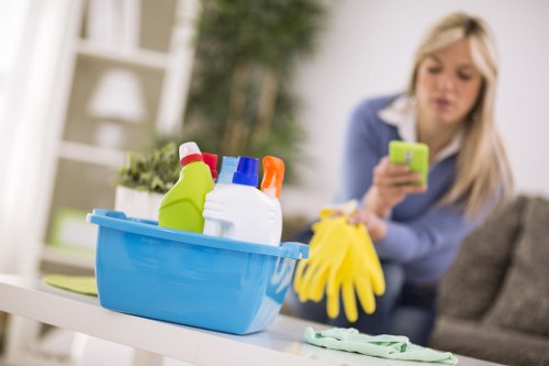 Clean and fresh Kentish Town home after pet stain treatment